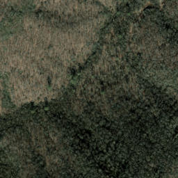 Satellite imagery of Bear Creek Ridge, US
