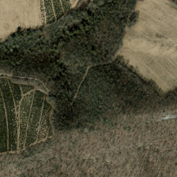 Satellite imagery of Tanasee Ridge, US