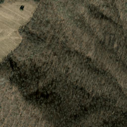 Satellite imagery of Tanasee Ridge, US