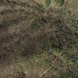 Satellite imagery of Nim Ridge, US