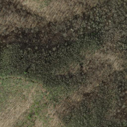 Satellite imagery of Pine Stand Ridge, US