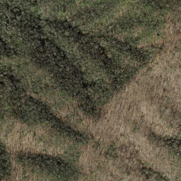 Satellite imagery of Fork Ridge, US