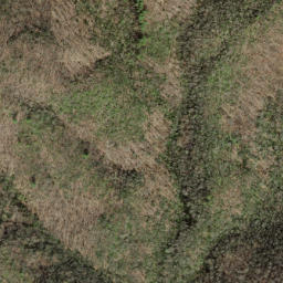 Satellite imagery of Fork Ridge, US