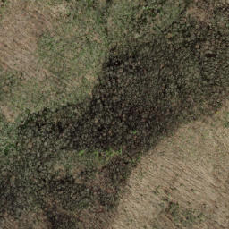 Satellite imagery of Fork Ridge, US