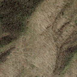 Satellite imagery of Steel Trap Ridge, US