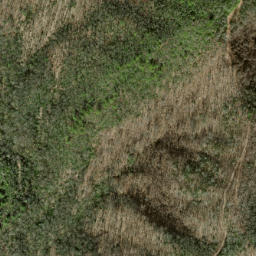 Satellite imagery of Parks Ridge, US