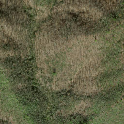 Satellite imagery of Fork Ridge, US