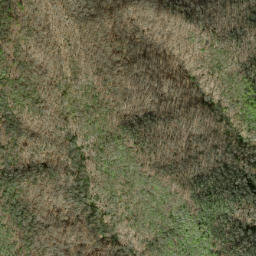 Satellite imagery of Fork Ridge, US