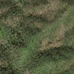 Satellite imagery of Fork Ridge, US