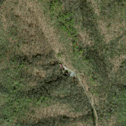 Satellite imagery of Old Mattie Ridge, US