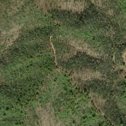 Satellite imagery of Old Mattie Ridge, US
