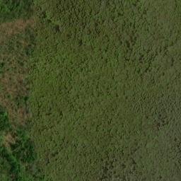 Satellite imagery of Split Whiteoak Ridge, US