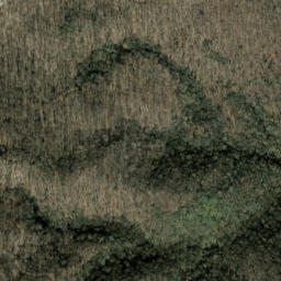 Satellite imagery of Shouting Ridge, US