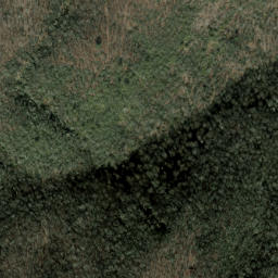 Satellite imagery of Shouting Ridge, US