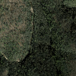 Satellite imagery of Grays Ridge, US