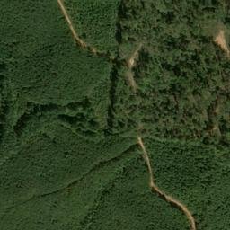 Satellite imagery of Wolf Pit Ridge, US
