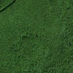 Satellite imagery of El Tigre Placer Mine, US