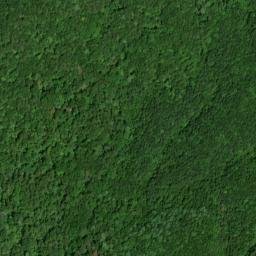 Satellite imagery of Mill Branch Workings, US