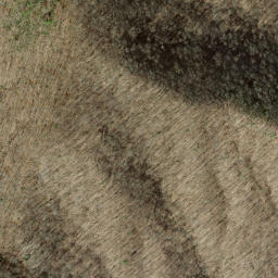 Satellite imagery of Chestnut Orchard Ridge, US