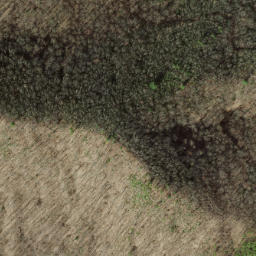 Satellite imagery of Chestnut Orchard Ridge, US