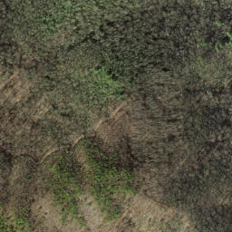 Satellite imagery of Chestnut Orchard Ridge, US
