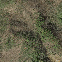 Satellite imagery of Pine Stand Ridge, US
