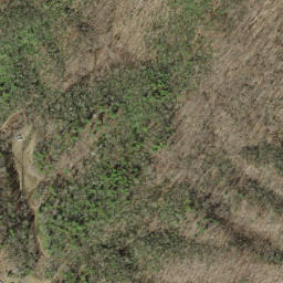 Satellite imagery of Pine Stand Ridge, US