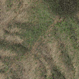 Satellite imagery of Pine Stand Ridge, US