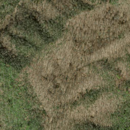 Satellite imagery of Parks Ridge, US