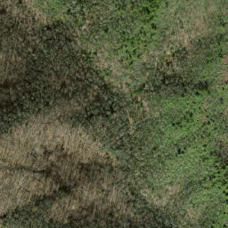 Satellite imagery of Parks Ridge, US