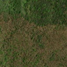 Satellite imagery of Split Whiteoak Ridge, US