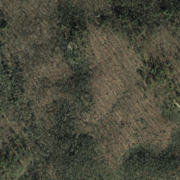 Satellite imagery of Rocky Ridge, US