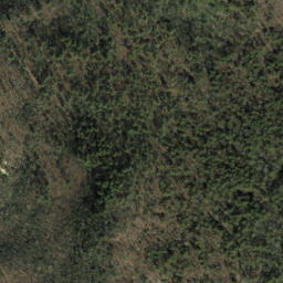 Satellite imagery of Rocky Ridge, US