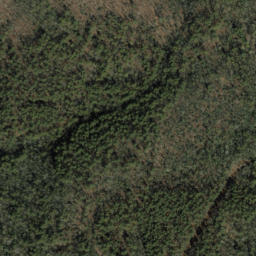 Satellite imagery of Rocky Ridge, US