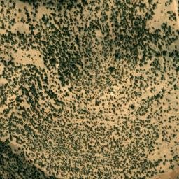 Satellite imagery of Râs el Louz, DZ