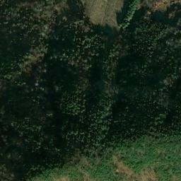 Satellite imagery of survey_point, JP