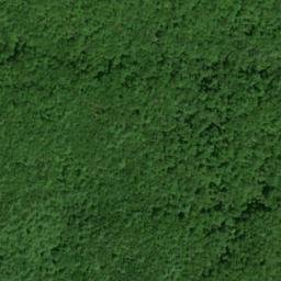 Satellite imagery of Brannon Prospect, US