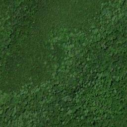 Satellite imagery of Mill Branch Workings, US