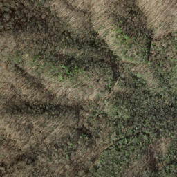 Satellite imagery of Chestnut Orchard Ridge, US