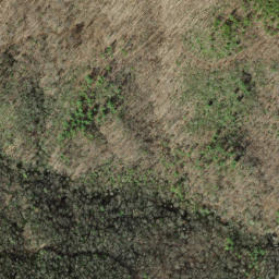 Satellite imagery of Chestnut Orchard Ridge, US