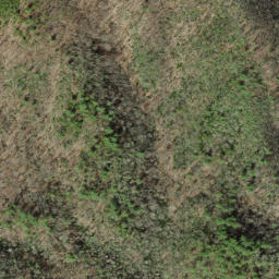 Satellite imagery of Chestnut Orchard Ridge, US