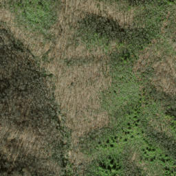 Satellite imagery of Parks Ridge, US