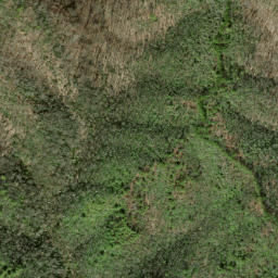Satellite imagery of Parks Ridge, US