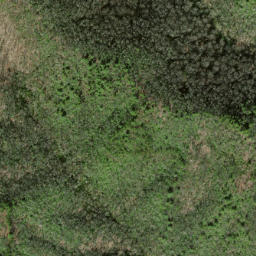 Satellite imagery of Parks Ridge, US