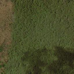 Satellite imagery of Split Whiteoak Ridge, US
