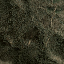 Satellite imagery of Brushy Ridge, US