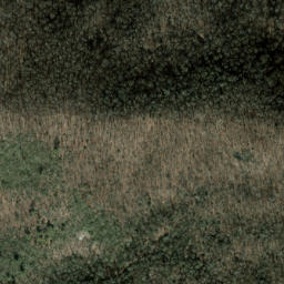 Satellite imagery of Fork Ridge, US