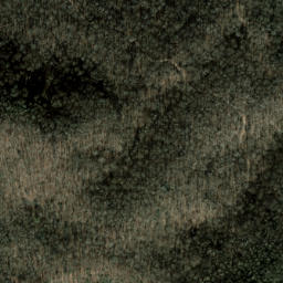 Satellite imagery of Fork Ridge, US