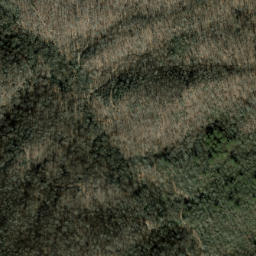 Satellite imagery of Fork Ridge, US
