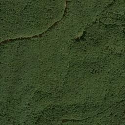 Satellite imagery of Wolf Pit Ridge, US